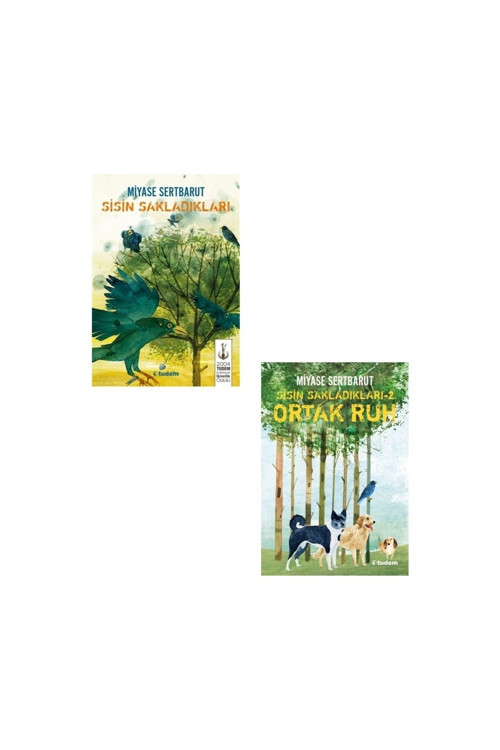 Miyase Sertbarut Sisin Sakladıkları Seti (2 Kitap)
