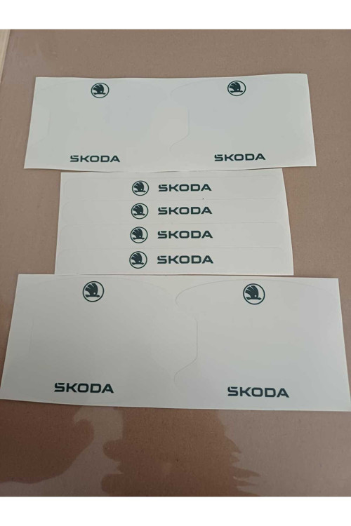 SKODA KAPI KOLU ÇİZİK ÖNLEYİCİ PPF KAPLAMA