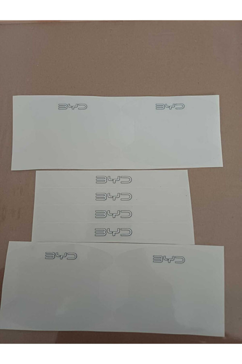 BYD KAPI KOLU ÇİZİK ÖNLEYİCİ PPF KAPLAMA
