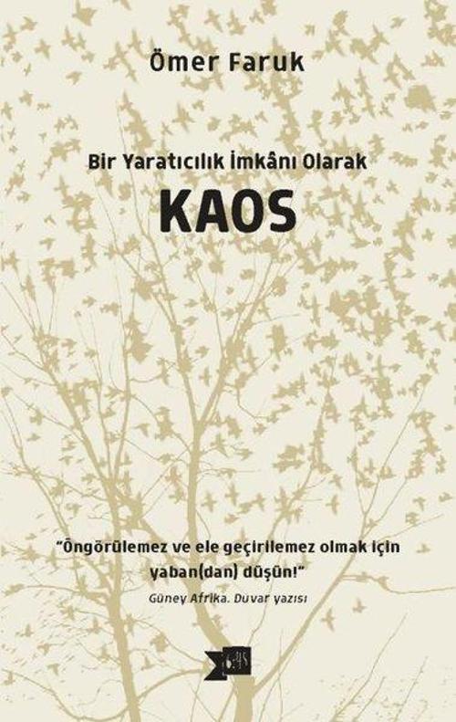 Bir Yaratıcılık İmkanı Olarak Kaos