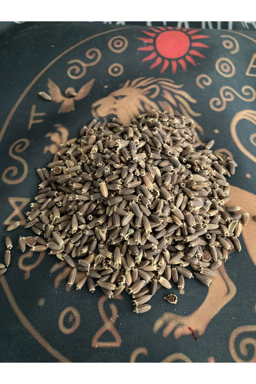Pelemir Tohumu 25 gr