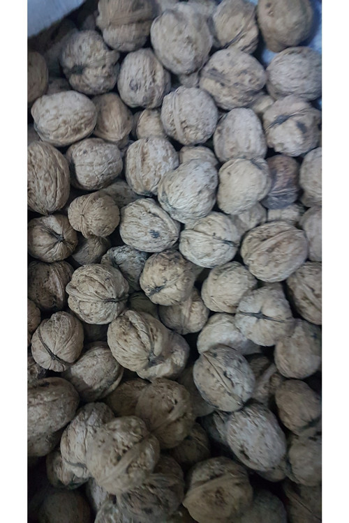 Pülümür Cevizi 1kg