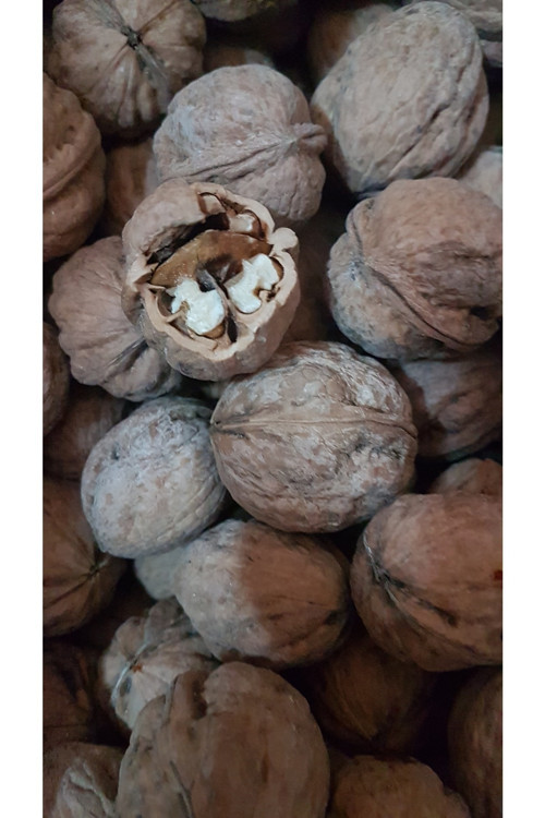 YERLİ Ceviz 1 kg