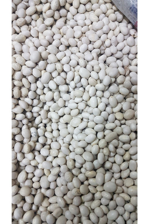 Şeker Fasulye 1kg 2.kalite
