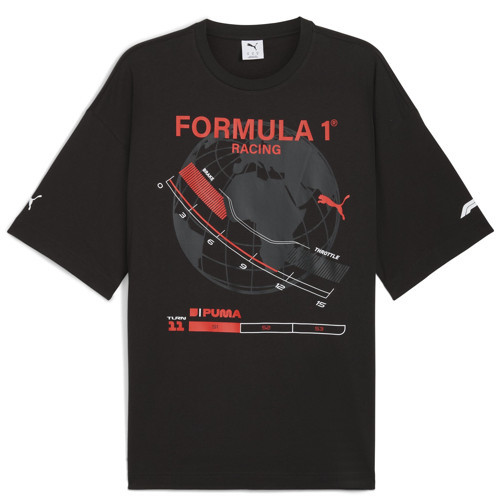 632655-01 F1 Graphic Tee - Relaxed Tişört Erkek T-Shirt