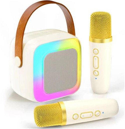 SY13 İki Mikrofonlu Gold Karaoke Speaker (KDO)