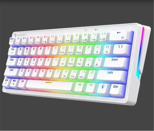 GE2015 Poseıdon RGB Kablolu Us Layout Mekanik Beyaz Oyuncu Klavyesi (KDO)