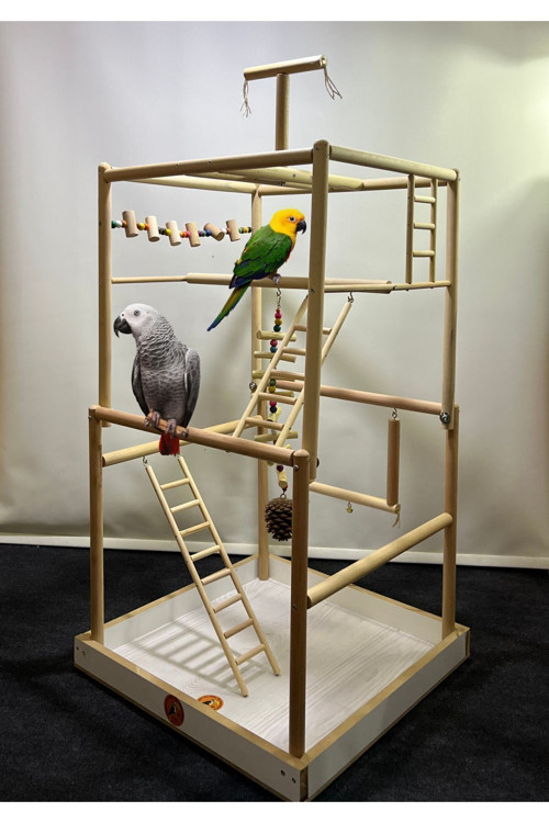 Papağan Oyun Standı 55 x 55 x 110 cm Büyük Papağanlar için Uyumlu