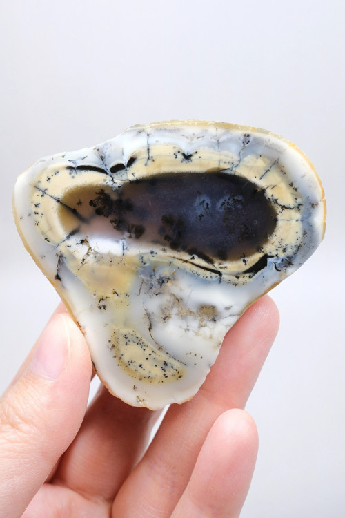 Colorful Merlinite Dendritic Opal Tekli | Kar Beyazı, Hardal Sarısı ve Derin Kömür