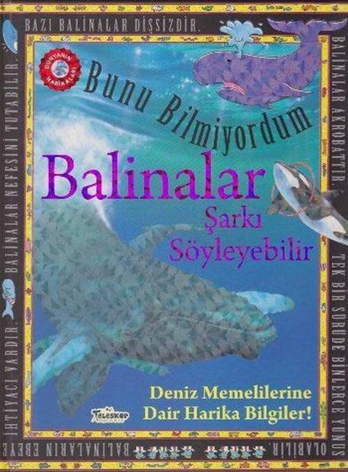 Bunu Bilmiyordum Balinalar Şarkı Söyleyebilir Deniz Memelilerine Dair Harika Bilgiler