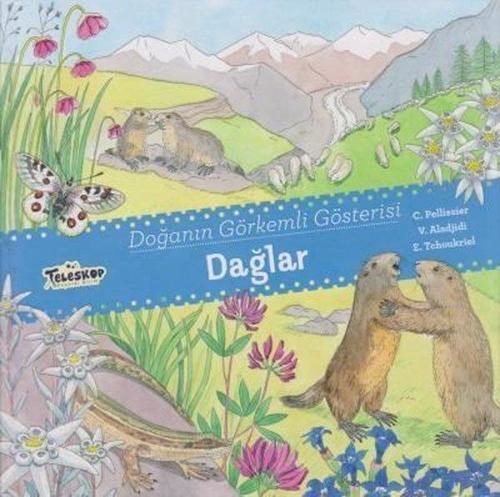 Doğanın Görkemli Gösterisi Dağlar