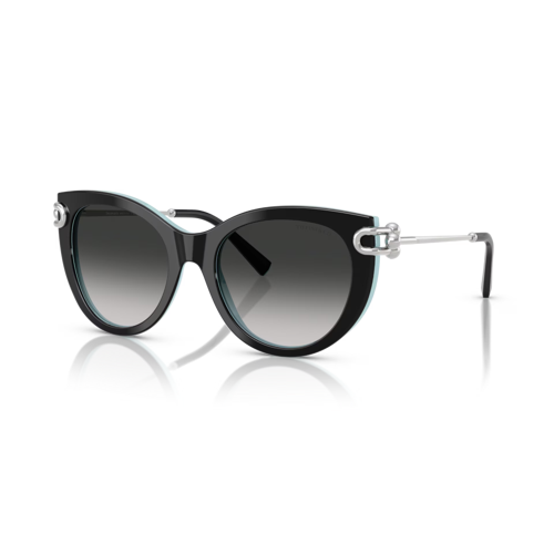 TF 4232 80553C 53 Tiffany & Co. Güneş Gözlüğü