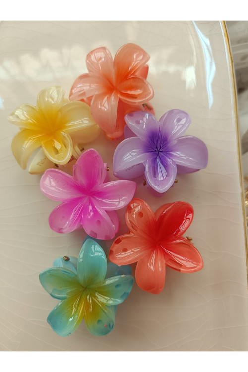 Küçük Boy Rengarenk 4.5 Cm 6 Li Lotus Toka