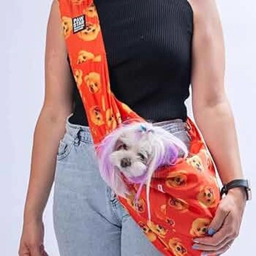 Poodle CrossBody Bag
