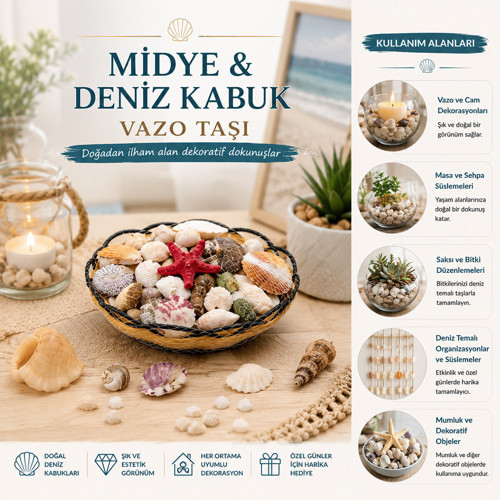 AHŞAP YUVARLAK SEPET - FİLELİ RENKLİ MİX MİDYE - DENİZ KABUK VAZO TAŞI (5639)