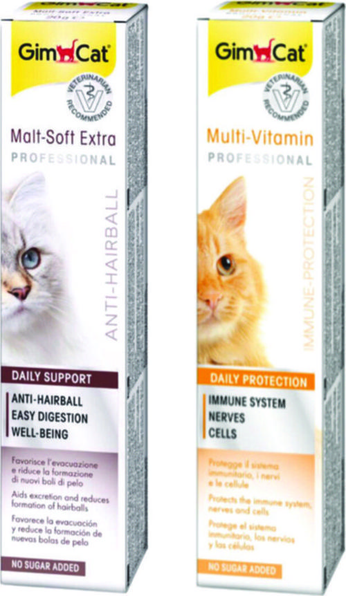 Malt Soft Extra 20 Gr  + Multivitamin 20 Gr