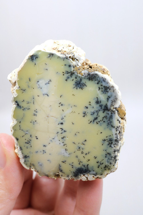 Sarı Dendritik Opal Tekli | Merlinite Örneği, Siyah Dendritler ile, 90gr