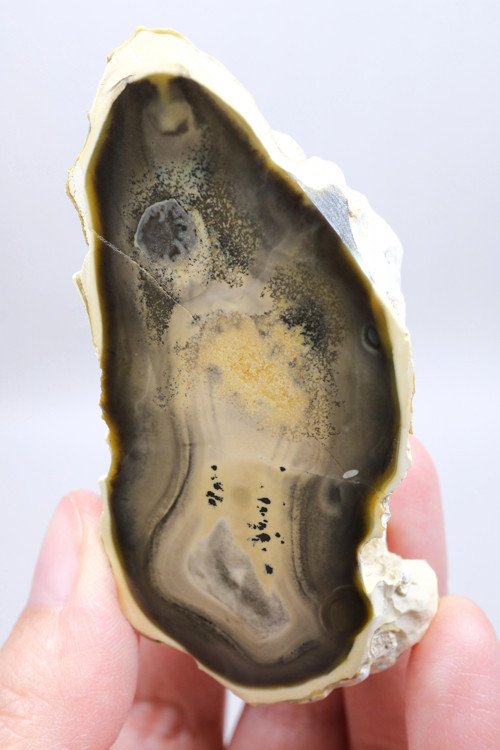 Doğal Kahverengi Dendritik Opal Merlinit Dilimi - Topraksı Kahve & Krem Cila Taşı, 87g