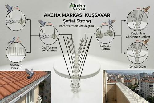 KUSŞAVAR ŞEFFAF STRONG