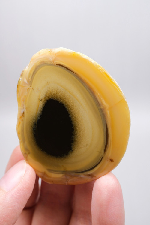 Sarı Dendritik Opal (Merlinit) Cilalanmış Dilim - Siyah Delik Dendritler | Sezgi, Gölge Çalışması ve