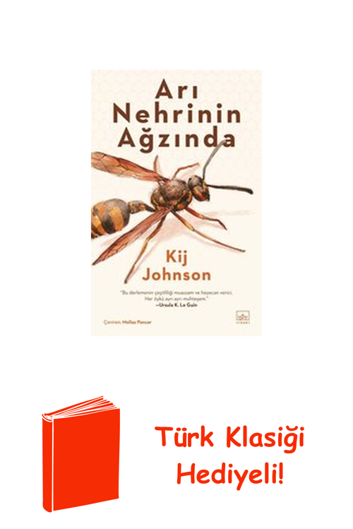 Arı Nehrinin Ağzında + Türk Klasiği Hediye