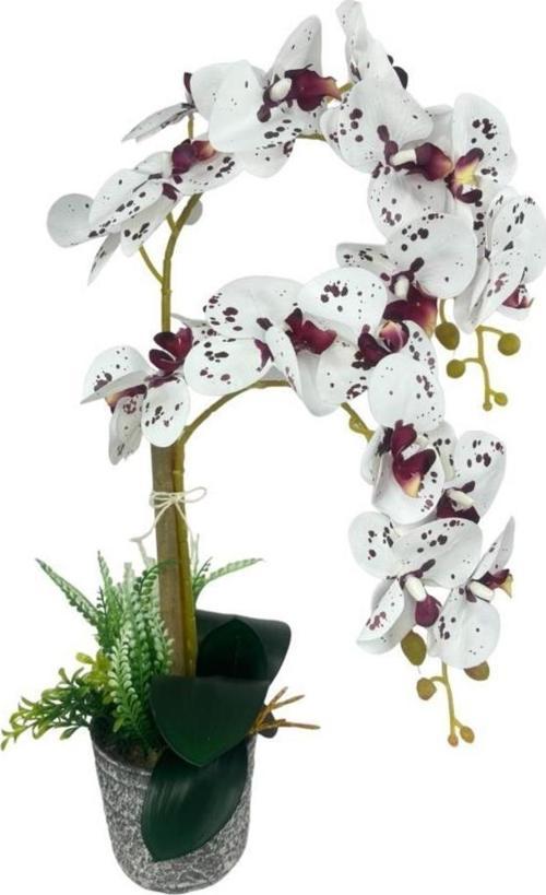 Yapay Çiçek 2li Benekli Bordo Islak Orkide Seramik Saksıda Orkide 60 cm