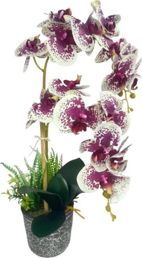 Yapay Çiçek 2li Benekli Fuşya Islak Orkide Seramik Saksıda Orkide 60 cm