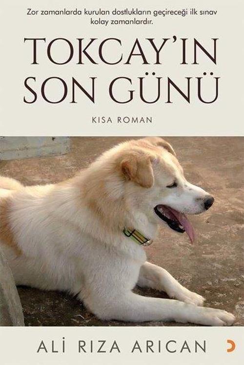 Tokcayın Son Günü - Kısa Roman