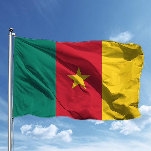 Kamerun Bayrağı 100*150