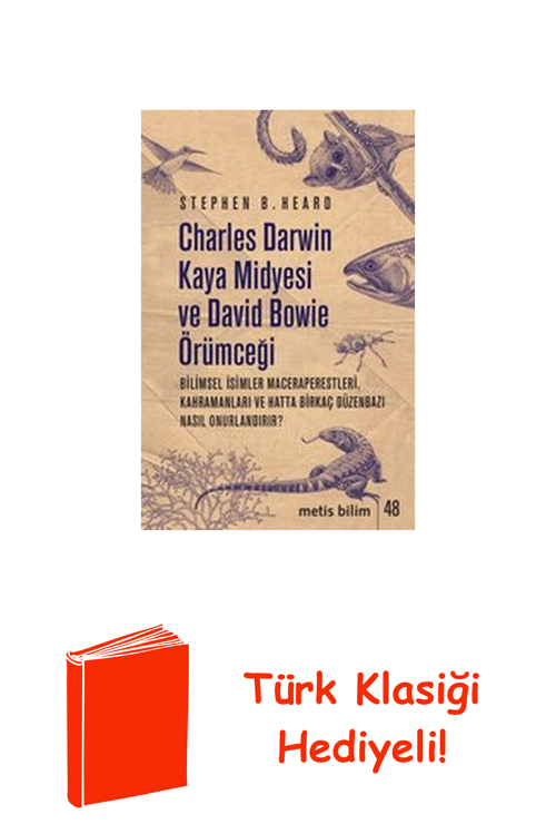 Charles Darwin Kaya Midyesi Ve David Bowie Örüm... + Türk Klasiği Hediye