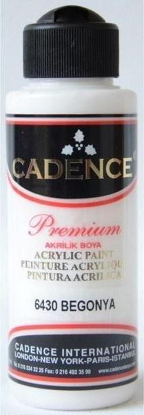 Premium Akrilik Boya 120 ml. 6430 Begonya