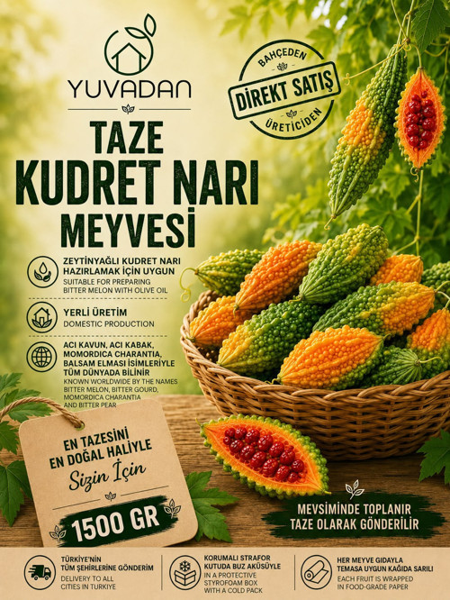 Taze Kudret Narı Meyvesi, Zeytinyağlı Kudret Narı Yapımına Uygun | 1500 gram
