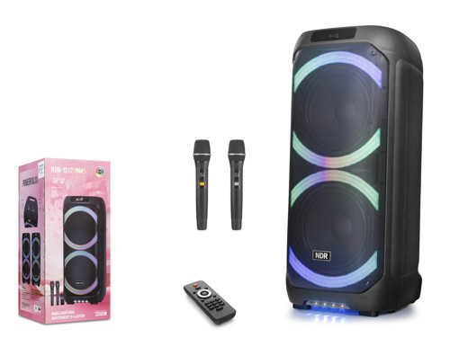 NDR1312 Çift Karaoke Mikrofonlu Bluetooth Hoparlör FM Radyo 60W 2x12 İnç RGB Kumandalı Siyah
