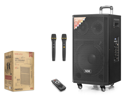 NDR412 Çift Karaoke Mikrofonlu Bluetooth Hoparlör FM Radyo 120W 12 İnç Kumandalı Ahşap