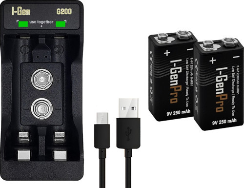 D925 2 Adet 9V 250 Mah Ni-mh Şarjlı Pil + 2 Li Pil Şarj Aleti (G200)