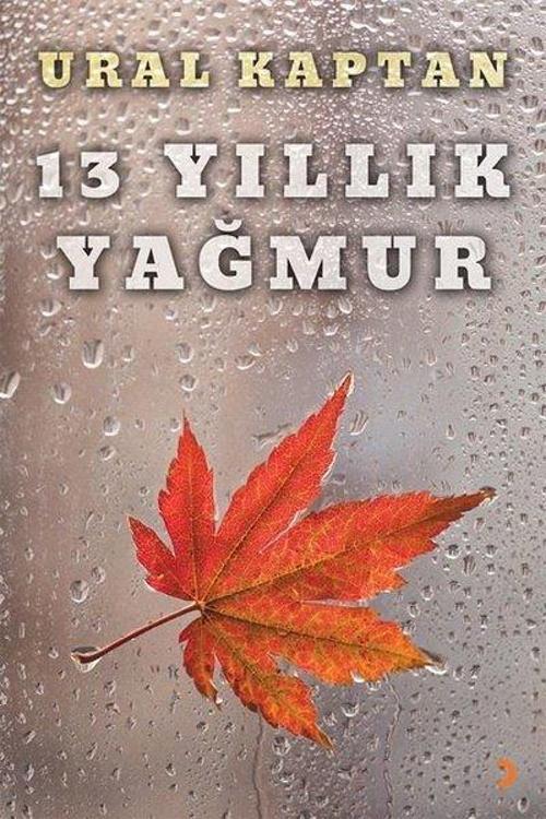 13 Yıllık Yağmur