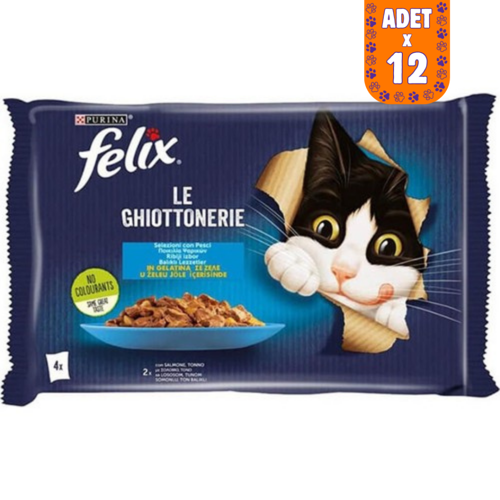 Multipack Somonlu ve Ton Balıklı Kedi Yaş Maması 4x85 Gr 12 Adet
