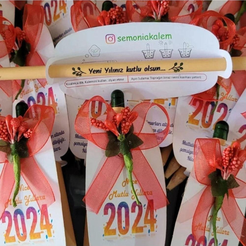 Yılbaşı Hediyesi 20 adet Tohumlu Kalem