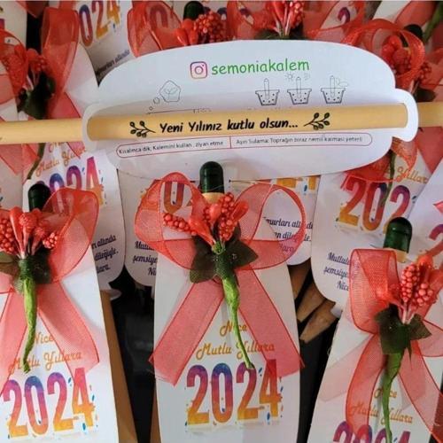 Yılbaşı Hediyesi 30 adet Tohumlu Kalem