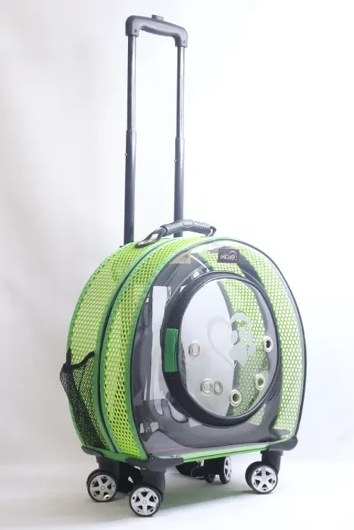 RUBY Model Küçük Boy Kedi Köpek Taşıma Çantası Yeşil