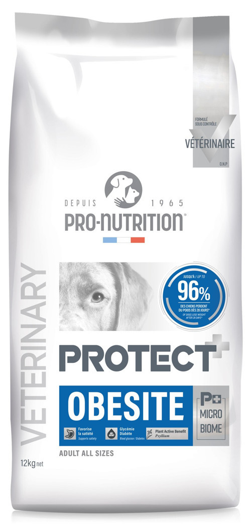 Protect Veterinary Obesite Kilo Kontrolü İçin Köpek Maması 12 Kg