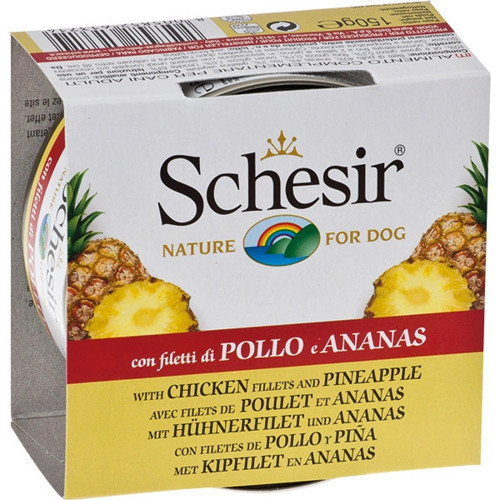 Fruit Tavuk ve Ananaslı 150 gr Yetişkin Köpek Konservesi