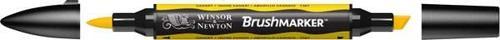 BrushMarker Kalem Canary