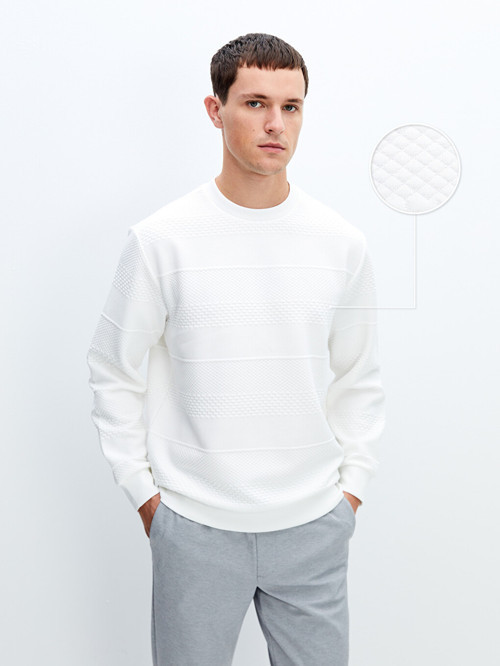 LCW Vision Beyaz Bisiklet Yaka Erkek Sweatshirt