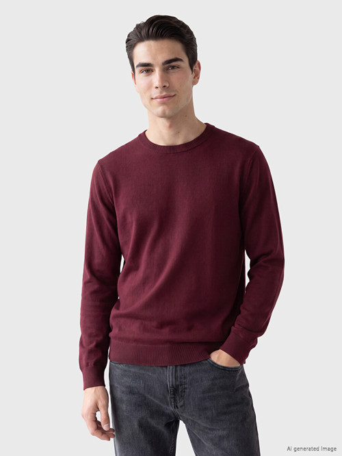 LCWAIKIKI Classic Bordo Bisiklet Yaka Erkek Triko Kazak