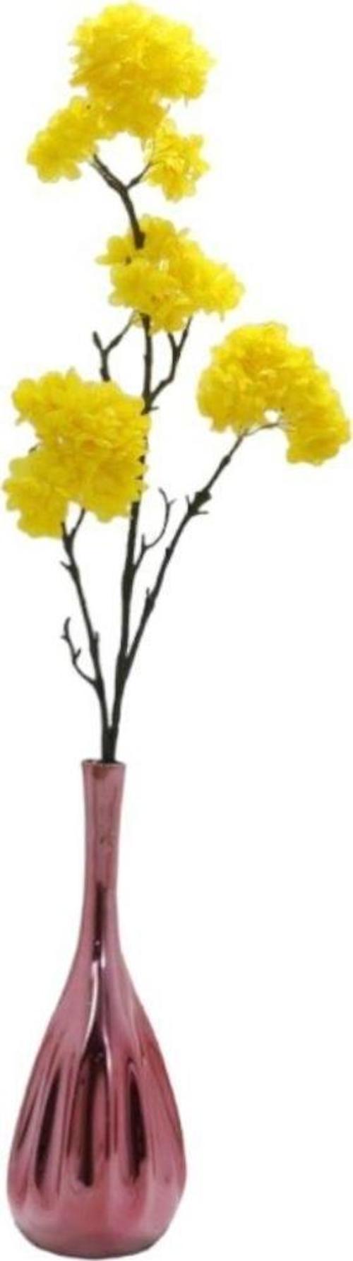 Dallı Sarı Kırçiçeği Hanghuı-004