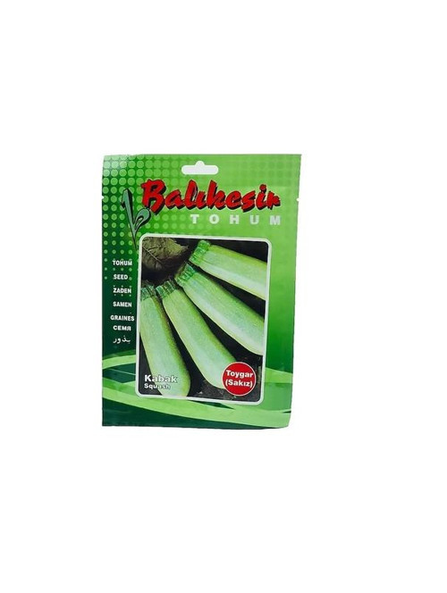 Kabak Tohumu 10 Gram Sakız Kabak Tohumu Toygar