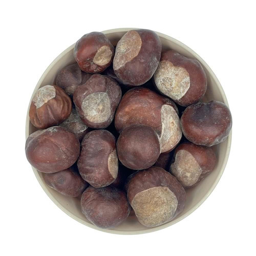 At Kestanesi 1 Kg Atkestanesi Meyvesi