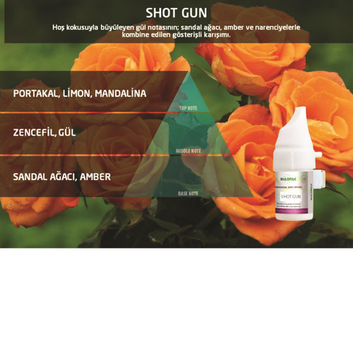 Shotgun Koku Kartuşu 100 ml (M5-M6)