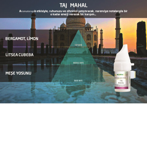 200522 122 Taj Mahal Koku Kartuşu 100 ML